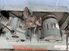 日立 HITACHI BEBICON3.7 3.7kwコンプレッサー