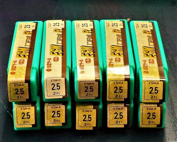 日立ツール 2.5 ESM-R 10個 未使用 エンドミル