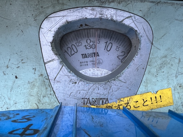 不明 6個 クランプセット