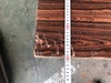 サカエ W900xD1800xH745(mm) 作業台(テーブル)