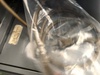 淀川電機製作所 集塵機能付きベルトグラインダー
