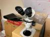 ニコン 実体顕微鏡