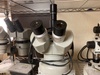 カートン光学 NSZT44 実体顕微鏡