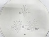 ミツトヨ NO.21 投影機用フィルムチャート