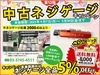 黒田精工 KKS PF3/8 管用平行ねじプラグゲージ