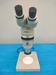 ニコン SMZ-10 ズーム式実体顕微鏡