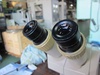 ニコン SMZ-1B 実体顕微鏡