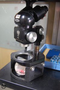 ニコン J.PAT. 実体顕微鏡