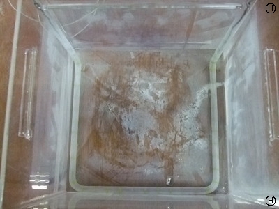  石英製水槽