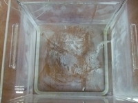  石英製水槽