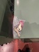 VIDMAR キャビネット