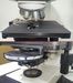 Leica TYPE 020-525.732 顕微鏡